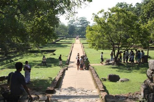 Горловка — Шри-Ланка