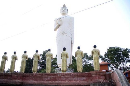 Горловка — Шри-Ланка