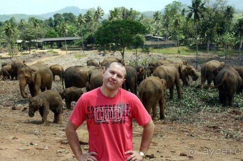 Горловка — Шри-Ланка