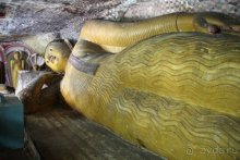 Горловка — Шри-Ланка