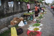 Горловка — Шри-Ланка