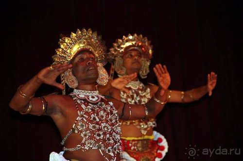 Горловка — Шри-Ланка