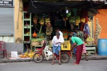 Горловка — Шри-Ланка