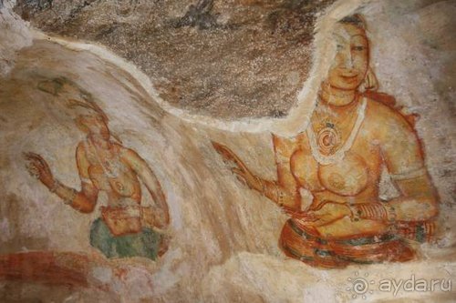 Горловка — Шри-Ланка