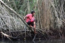 Горловка — Шри-Ланка