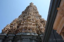 Горловка — Шри-Ланка