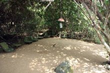 Горловка — Шри-Ланка