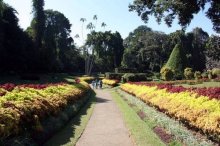 Горловка — Шри-Ланка