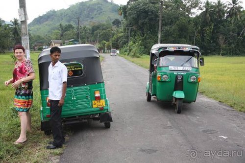 Горловка — Шри-Ланка