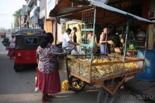 Горловка — Шри-Ланка