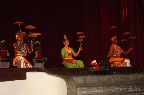 Горловка — Шри-Ланка