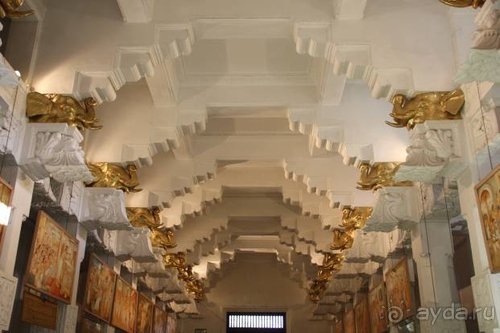 Горловка — Шри-Ланка