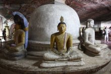 Горловка — Шри-Ланка