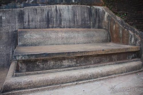 Горловка — Шри-Ланка