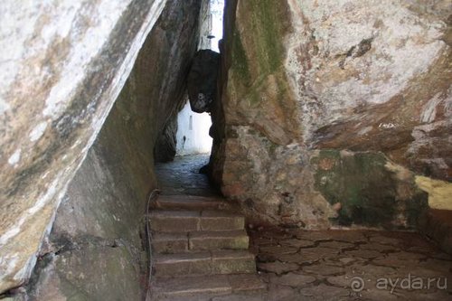 Горловка — Шри-Ланка