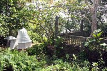 Горловка — Шри-Ланка