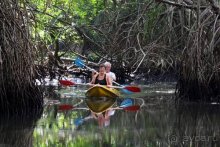 Горловка — Шри-Ланка