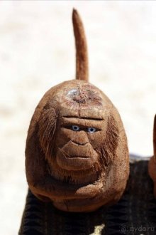 Альбом отзыва "Горловка — Шри-Ланка"