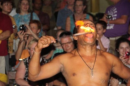 Горловка — Шри-Ланка