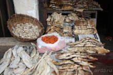 Горловка — Шри-Ланка