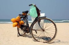 Горловка — Шри-Ланка