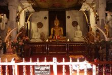 Горловка — Шри-Ланка