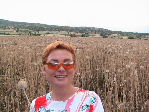 Горловка — Шри-Ланка