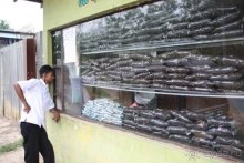 Горловка — Шри-Ланка