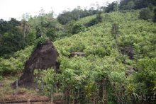 Горловка — Шри-Ланка