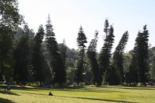 Горловка — Шри-Ланка