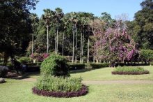 Горловка — Шри-Ланка