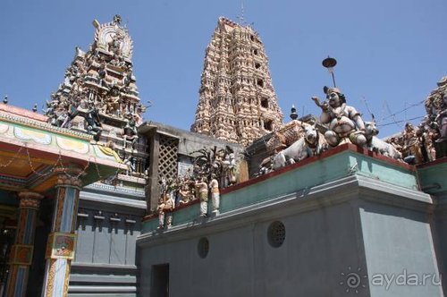 Горловка — Шри-Ланка