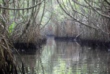 Горловка — Шри-Ланка