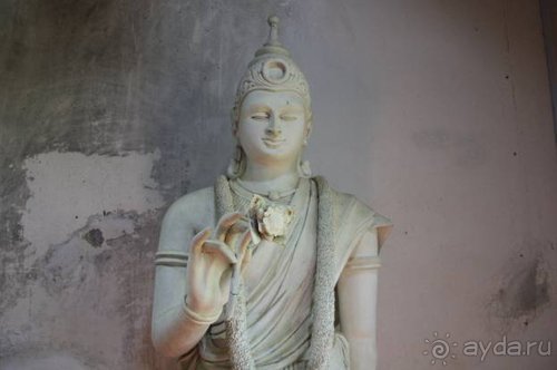 Горловка — Шри-Ланка