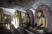 Горловка — Шри-Ланка