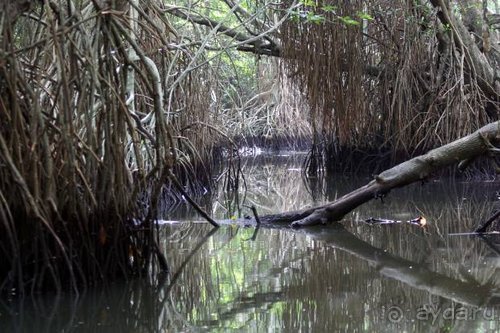 Горловка — Шри-Ланка