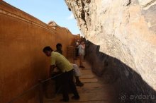 Горловка — Шри-Ланка