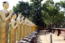 Горловка — Шри-Ланка