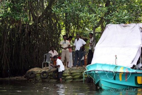 Горловка — Шри-Ланка