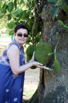 Горловка — Шри-Ланка