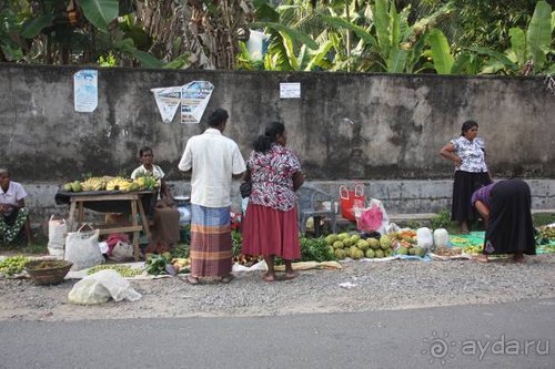 Горловка — Шри-Ланка