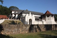 Горловка — Шри-Ланка