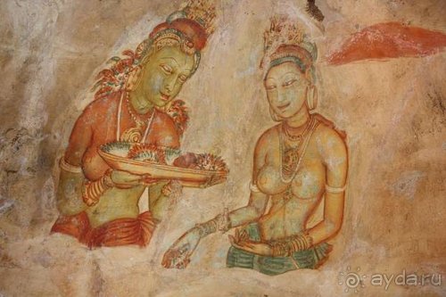 Горловка — Шри-Ланка