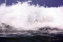 Горловка — Шри-Ланка