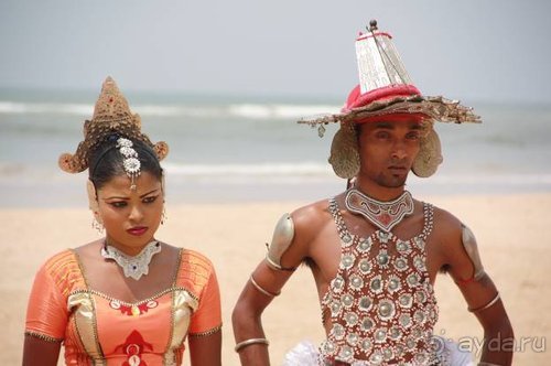 Горловка — Шри-Ланка