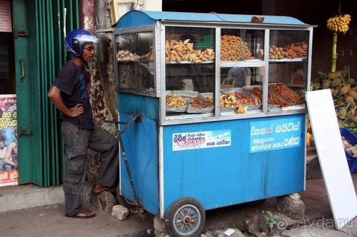 Горловка — Шри-Ланка