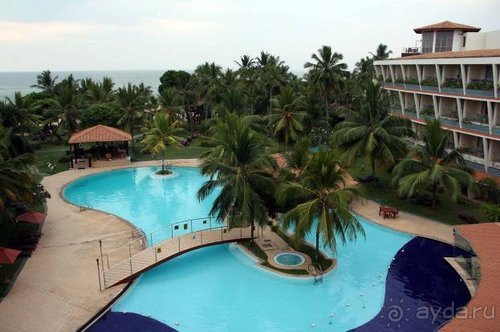 Горловка — Шри-Ланка