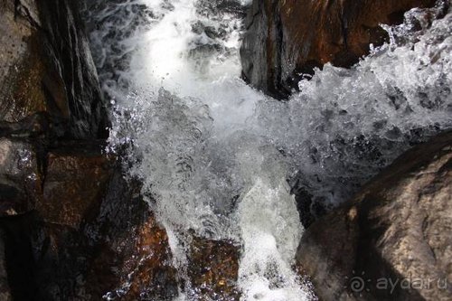 Горловка — Шри-Ланка