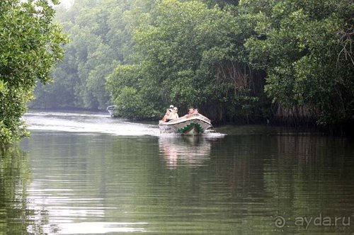 Горловка — Шри-Ланка
