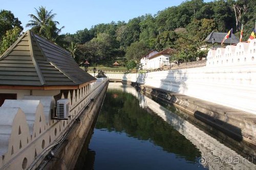 Горловка — Шри-Ланка